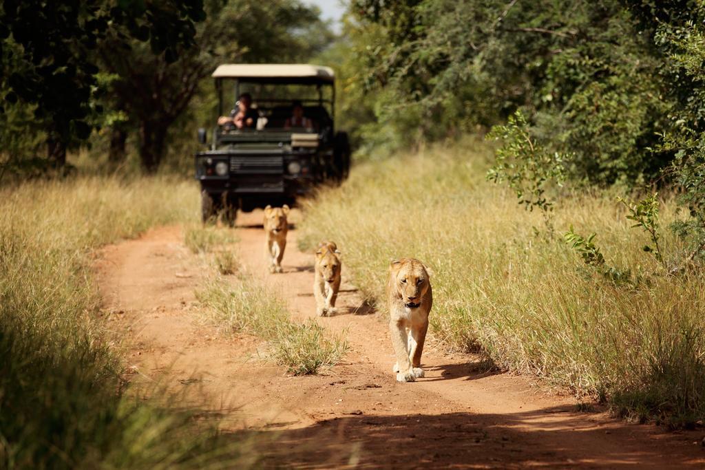 הוילה Kapama Game Reserve Jabulani Safari מראה חיצוני תמונה